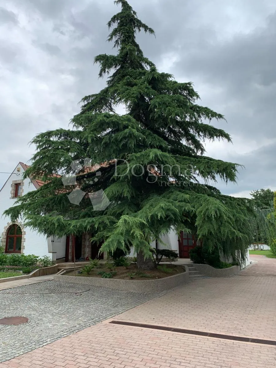 predivna vila u kuršancu - slika 95