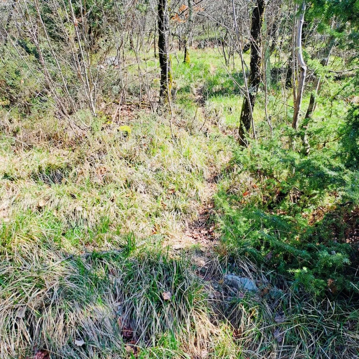poljoprivredno zemljište – 7.399 m² – kalac,prodaja! - slika 2