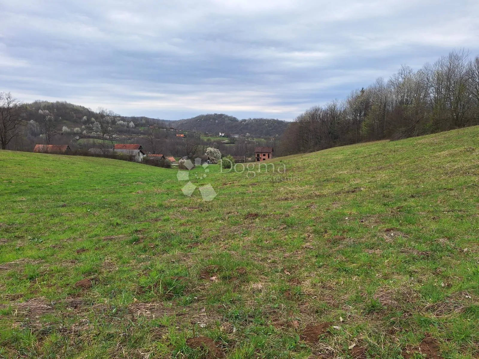 veliko i uredno sa dosta šume - slika 2