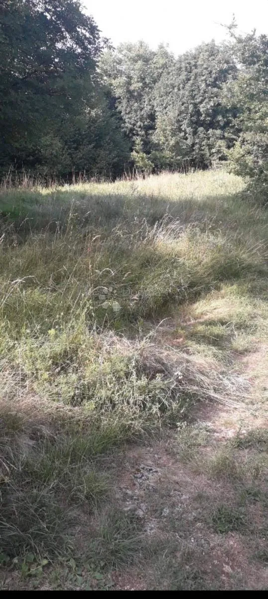 matulji brgud građevinski teren - slika 4