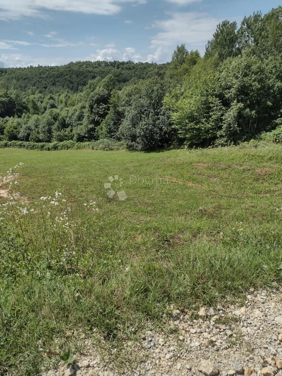 uredno održavane parcele - poticaj na košnju - slika 5