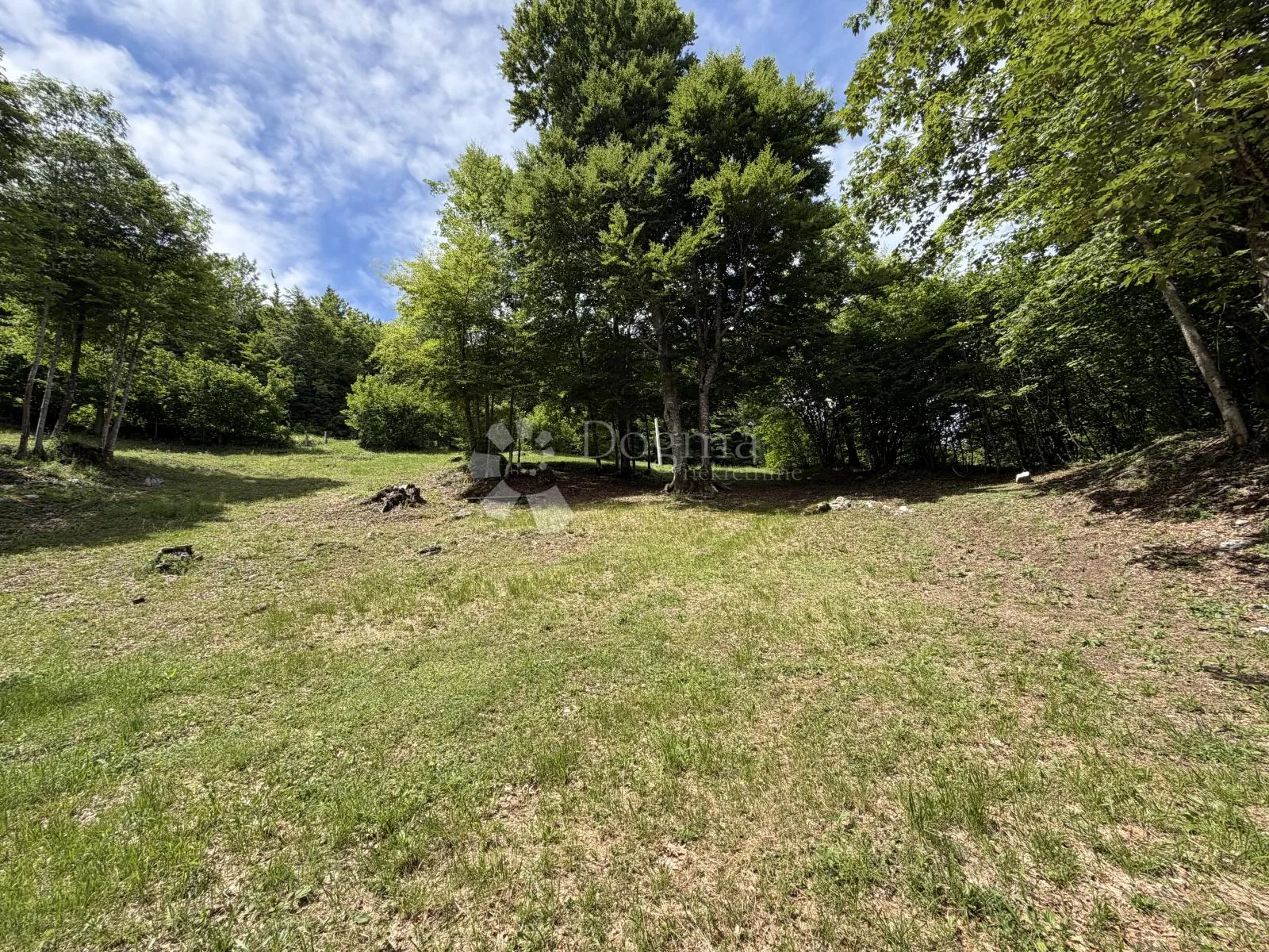 gorski kotar stari laz, građevinsko zemljište 3200m2 - slika 4