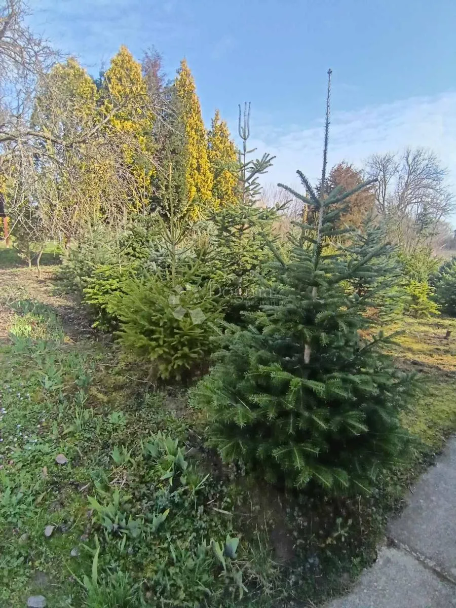 imanje s dva jezera i kućama na 23.755 m²! - slika 26