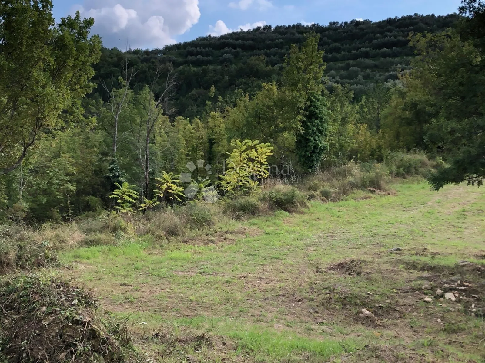 motovun - prekrasno imanje s panoramskim pogledom - slika 10