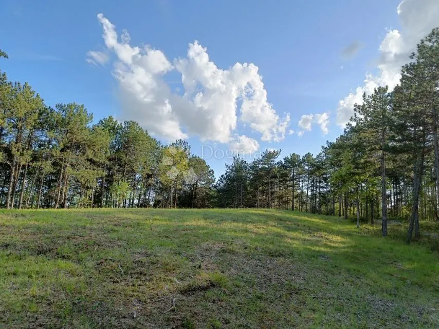 građevinsko zemljište (2000m2) s bogatom šumom (36789 m2) - slika 5
