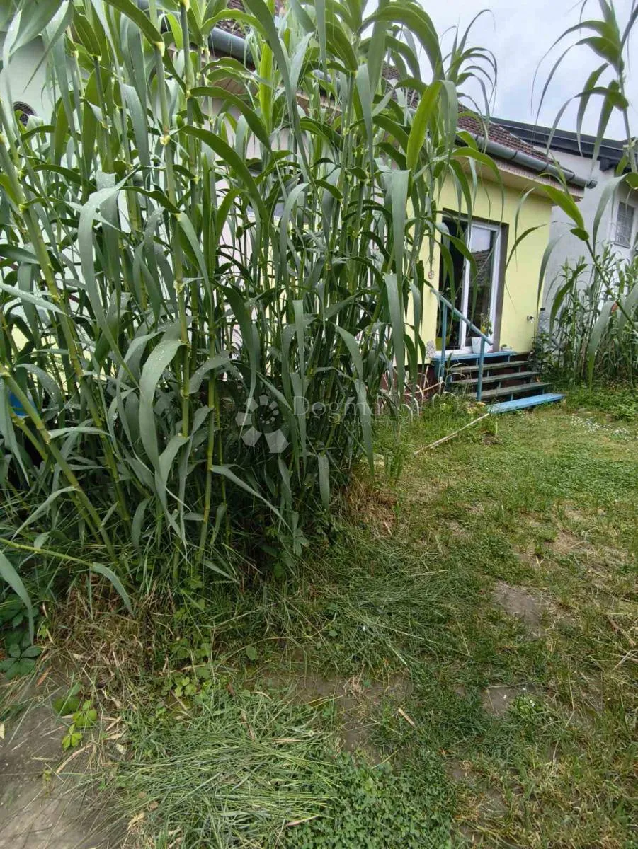 obiteljska oaza u bilju s ribnjakom i garažom - slika 15