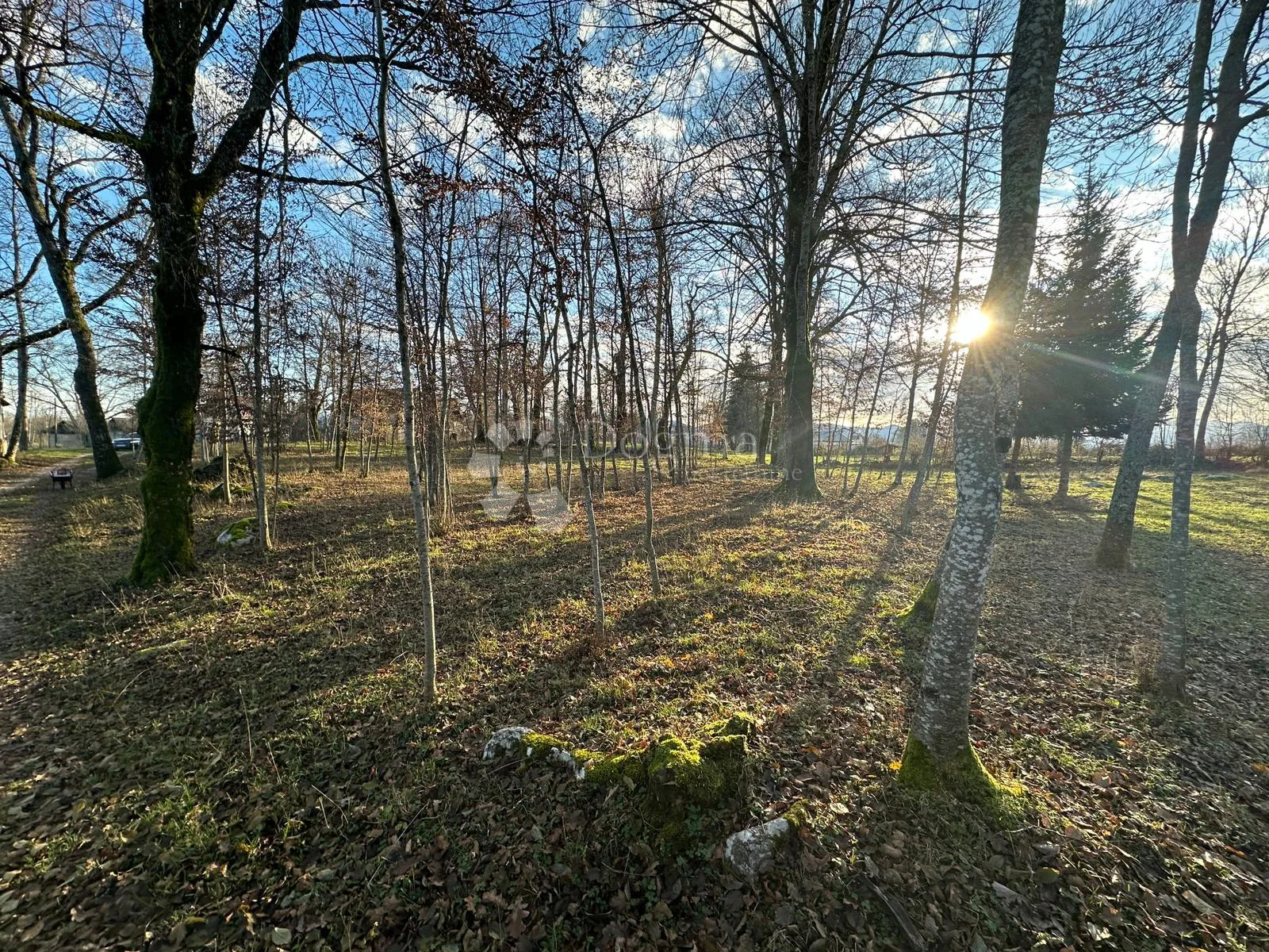 lipe prodaje se poljoprivredno zemljište - slika 2