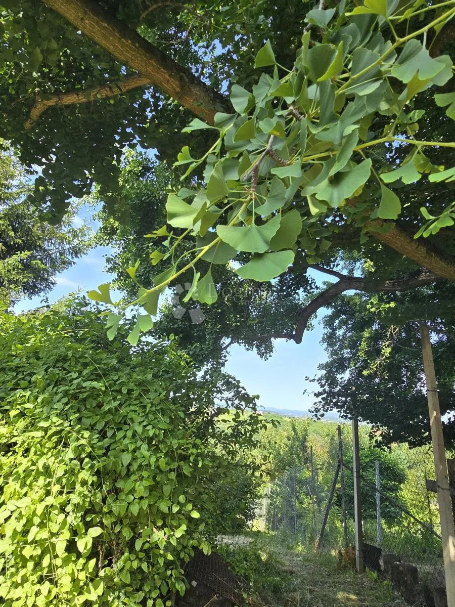 zemljište sa dušom i pogledom - slika 16