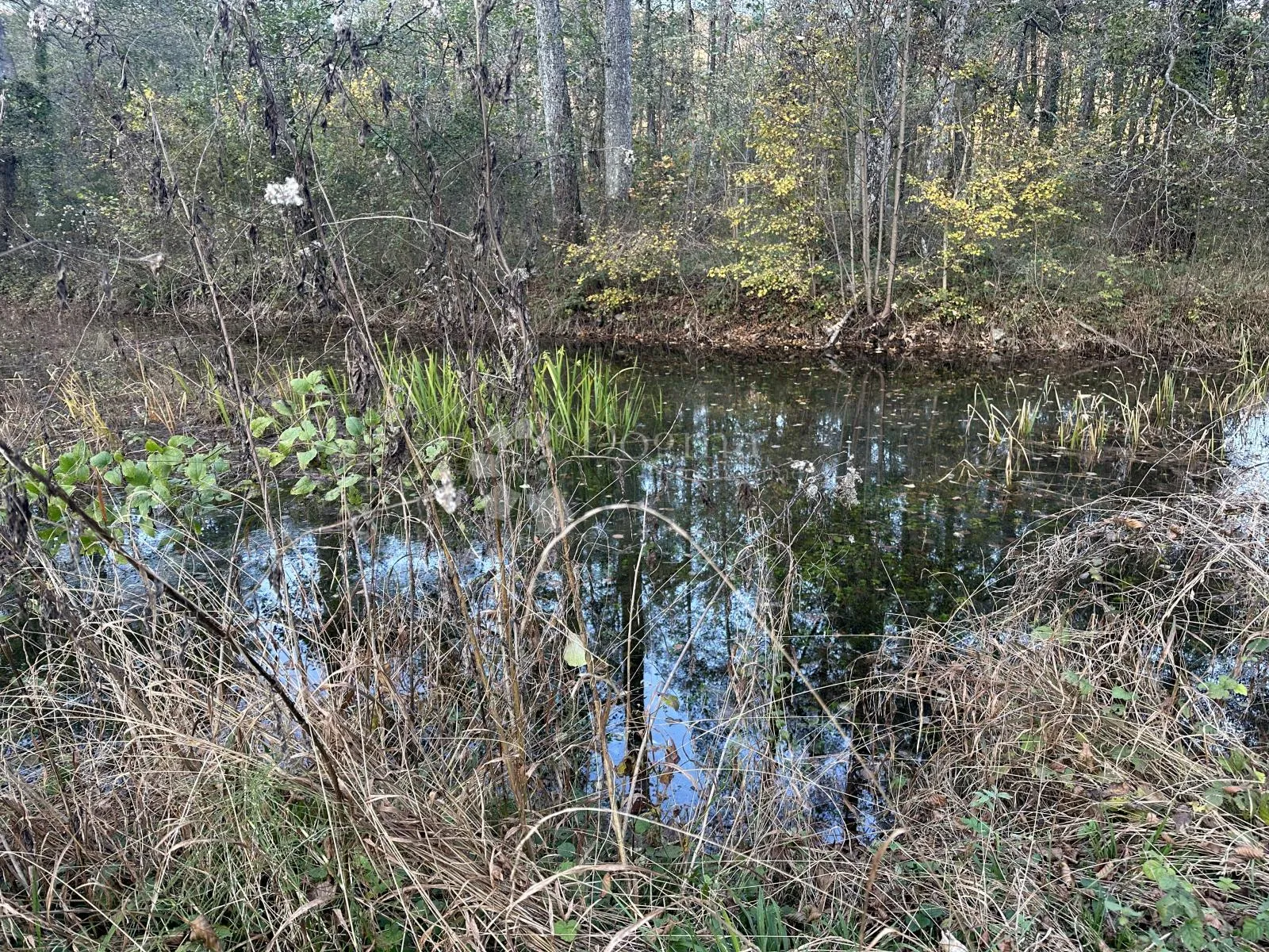 brušane 7300 m2 - turistička namjena - slika 6