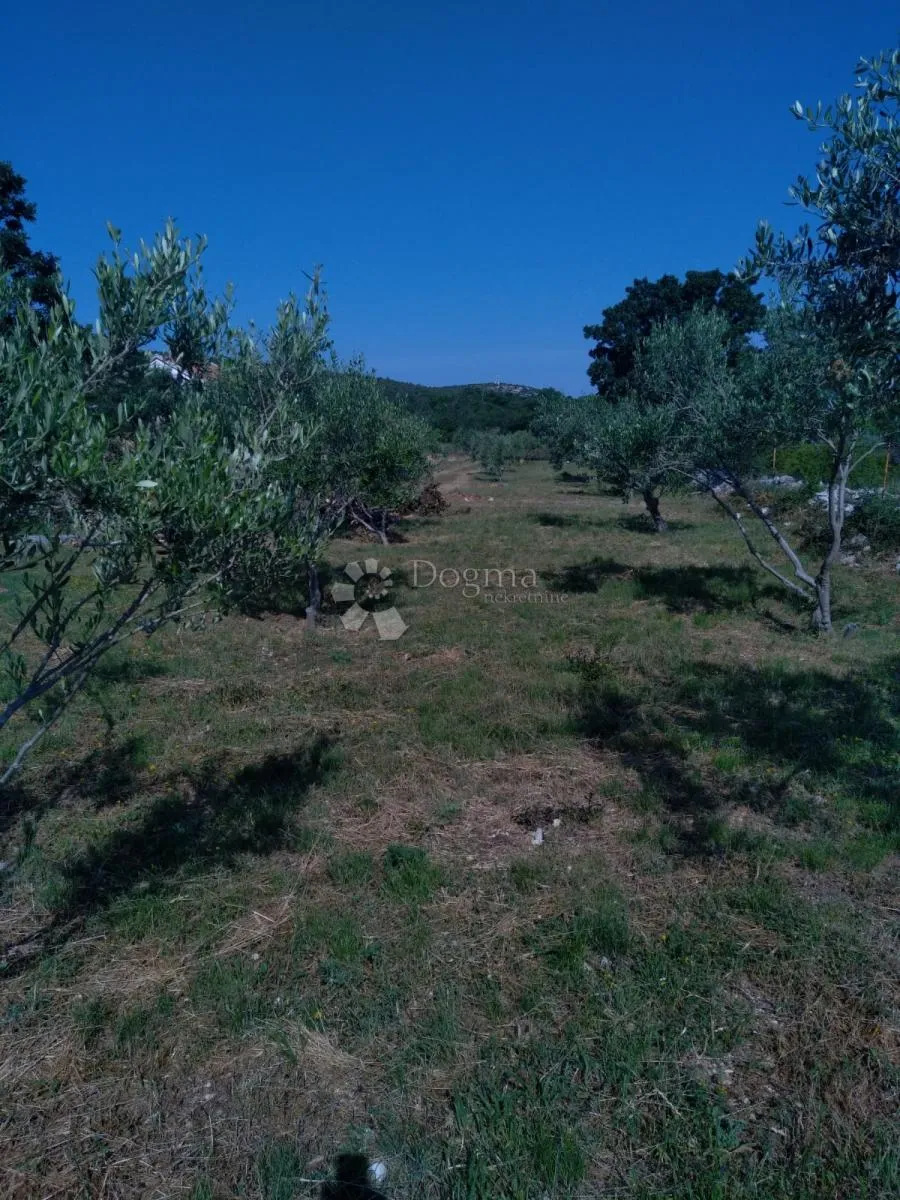 građevinsko zemljište -1950m2-vinjerac - slika 5