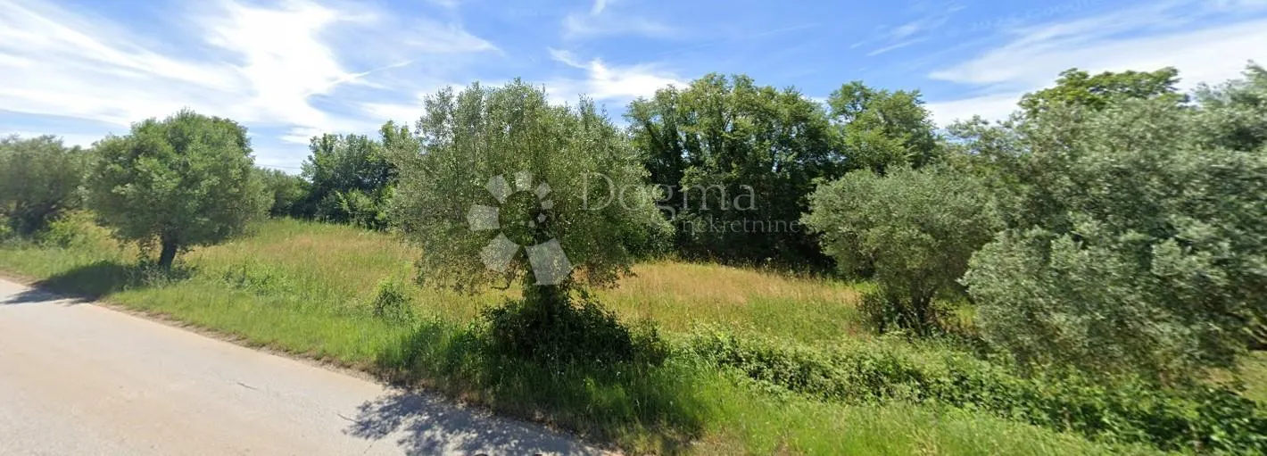 maslinik na odličnoj lokaciji - slika 5