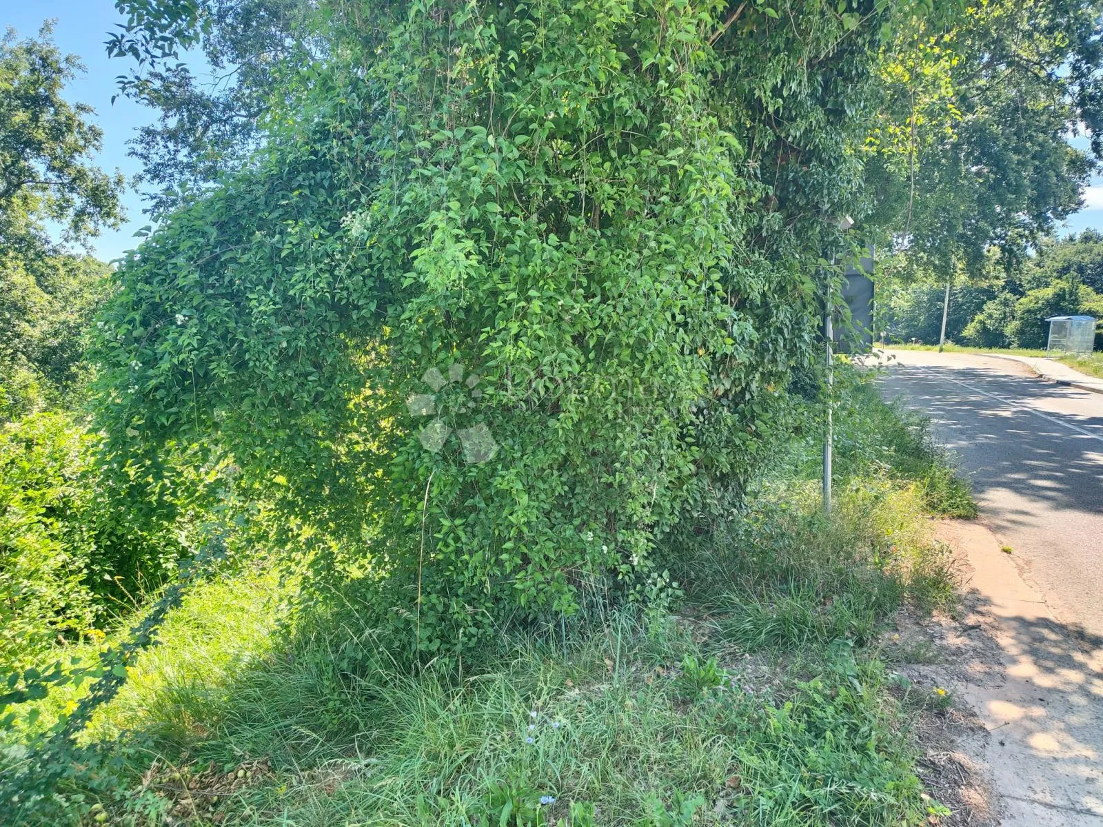 građevinsko zemljište s infrastrukturom, 2290 m² okolica pazina - slika 11