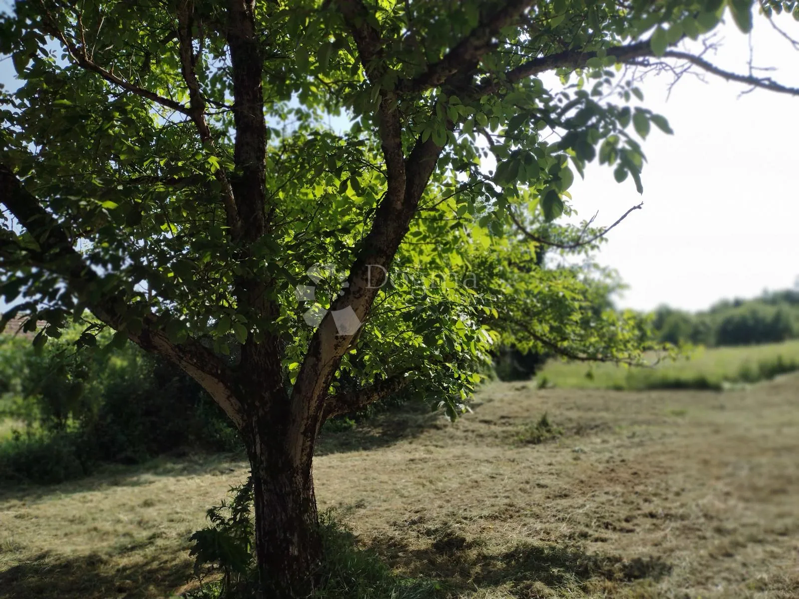 romantična kućica u blizini potoka - slika 16