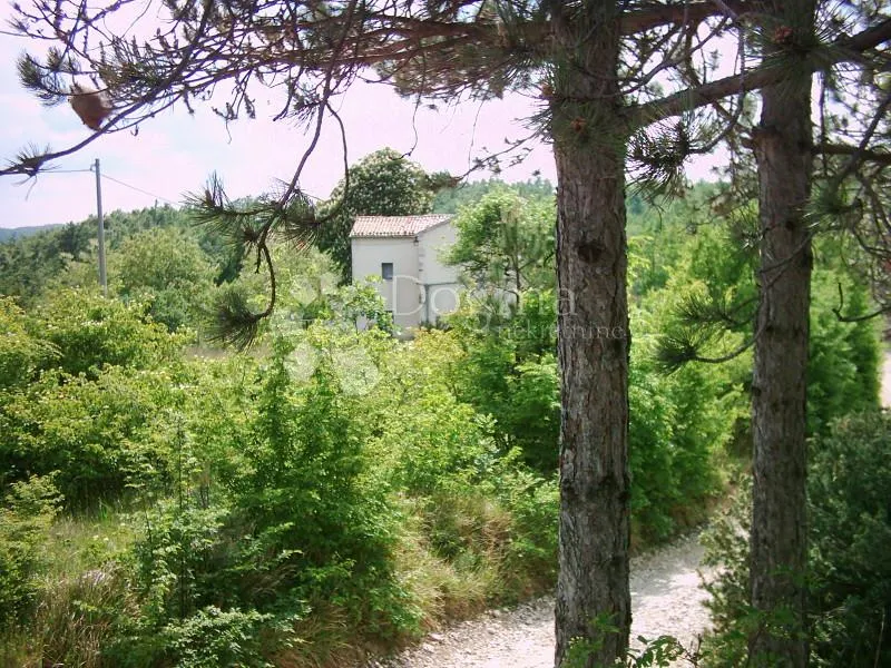 Istra, Impozantno Imanje - Lesišćina, Lupoglav