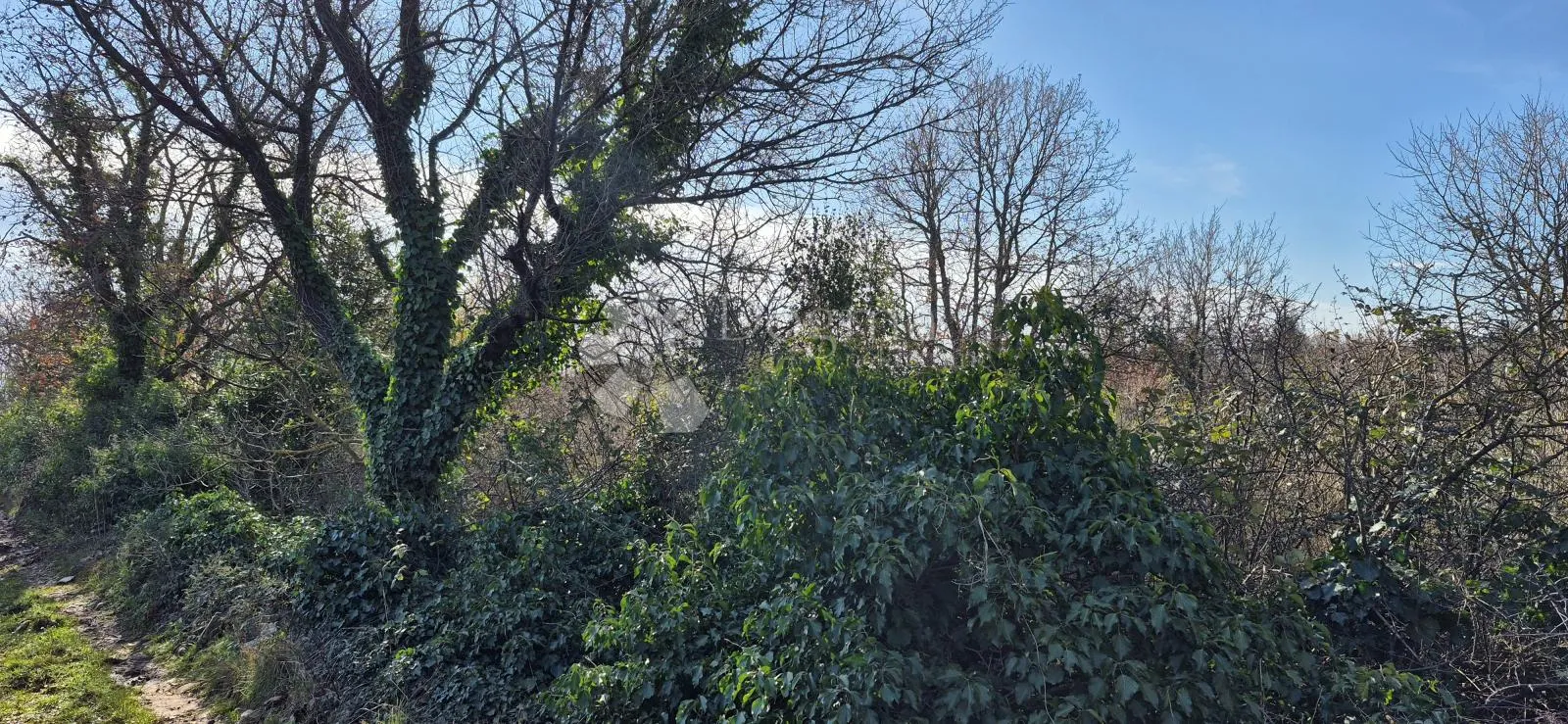 kombinirano građevinsko zemljište 850 m2 i poljoprivredno zemljište 3726 m2 - slika 10
