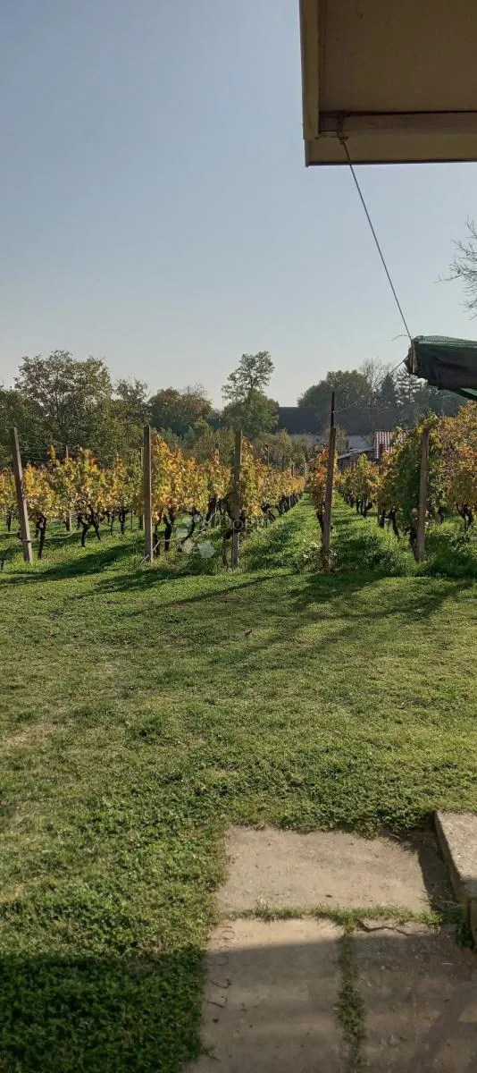 erdut: kuća koja nudi dom i zaradu! - slika 26
