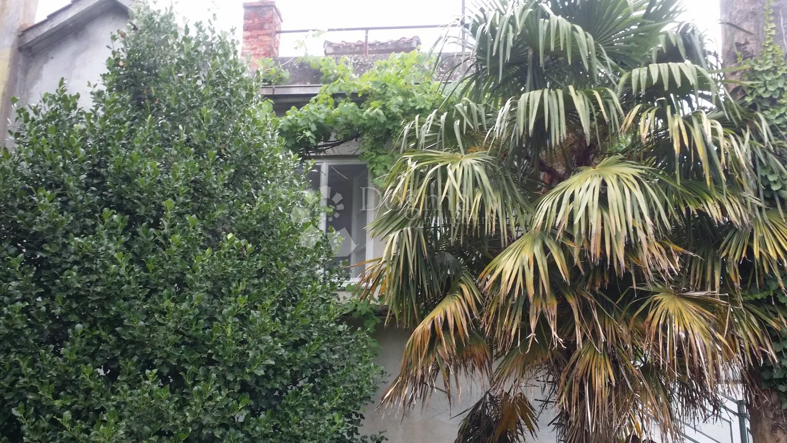 samostojeća kuća s velikom okućnicom – kaštel štafilić - slika 35