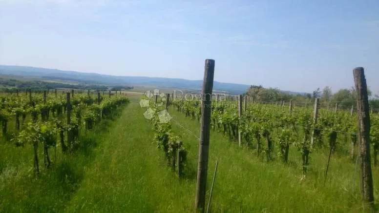 kutjevo - bajkovito imanje velikog potencijala - slika 10