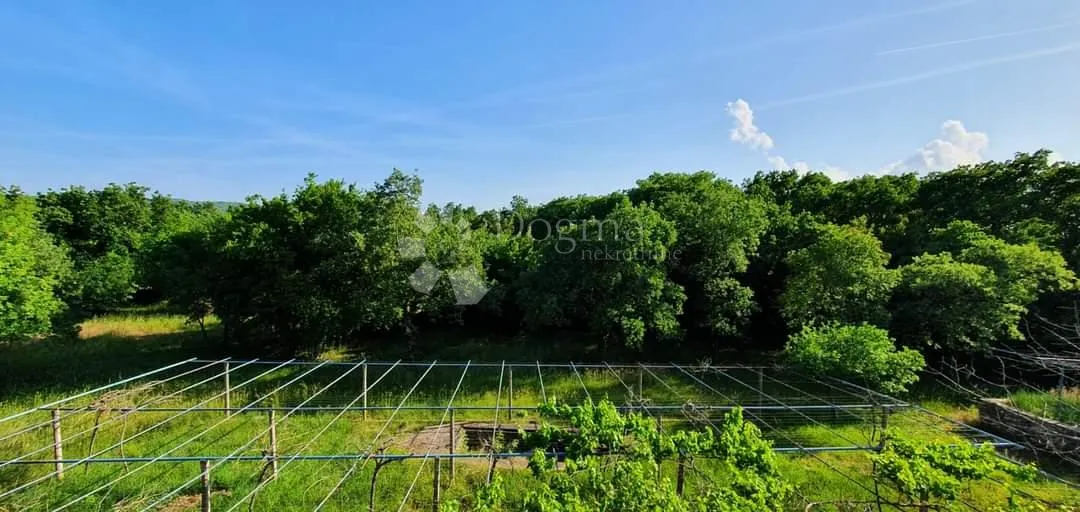 kuća s dva stana i 8300 m² građevinskog zemljišta - slika 25