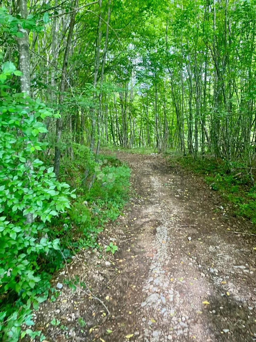 zemljište s vizijom – 20 ha netaknute prirode 10 minuta od plitvičkih jezera - slika 11