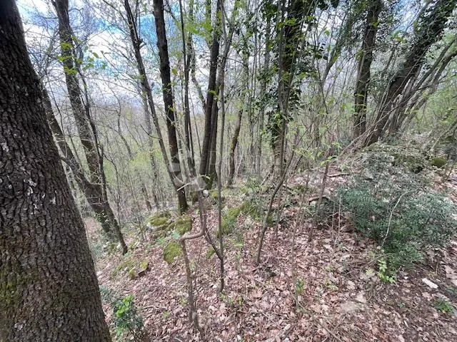 matulji -10471m2,teren za više obiteljskih kuća - slika 2