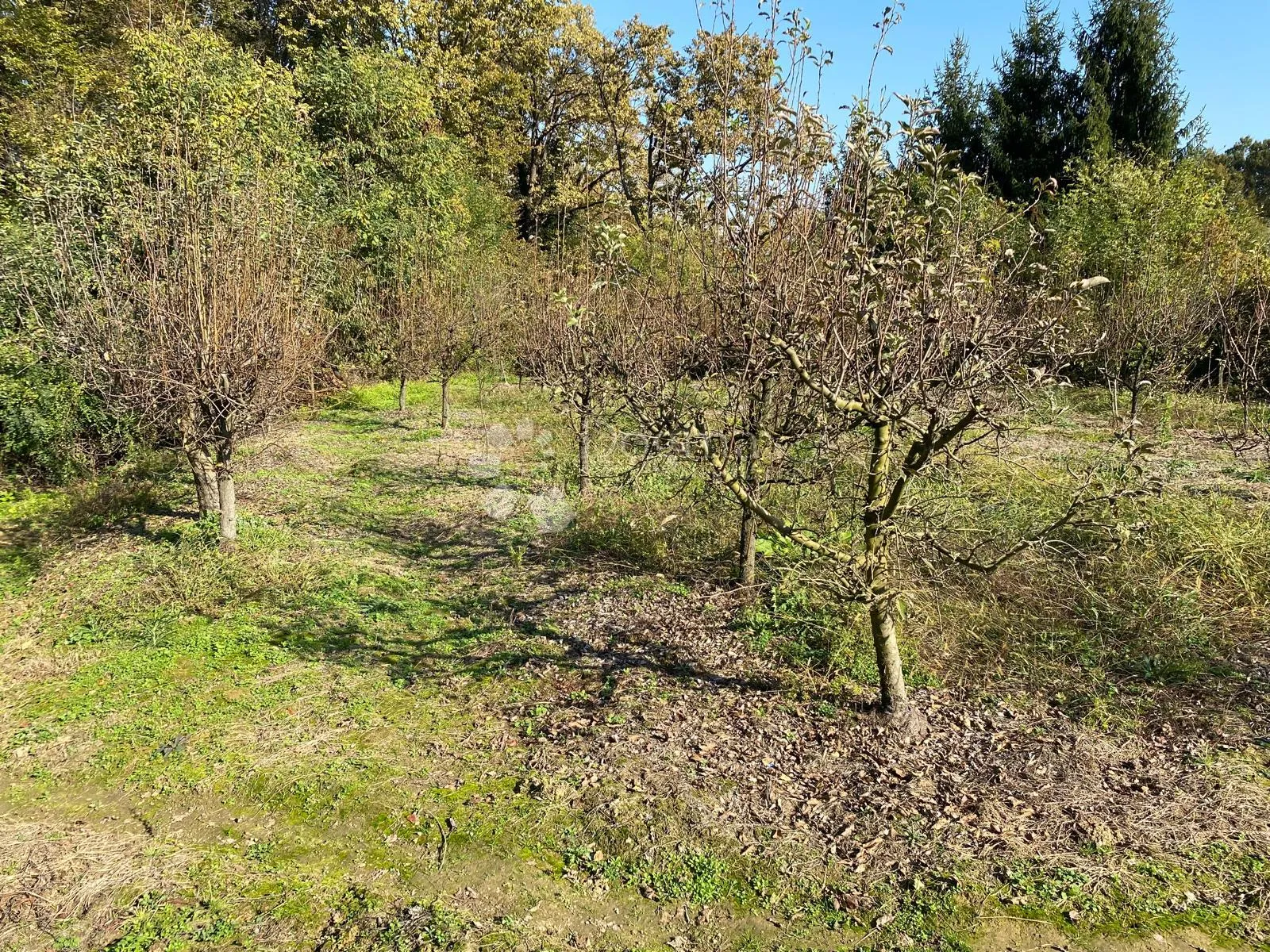 super zemljište za vikendicu - črešnjevo - slika 6