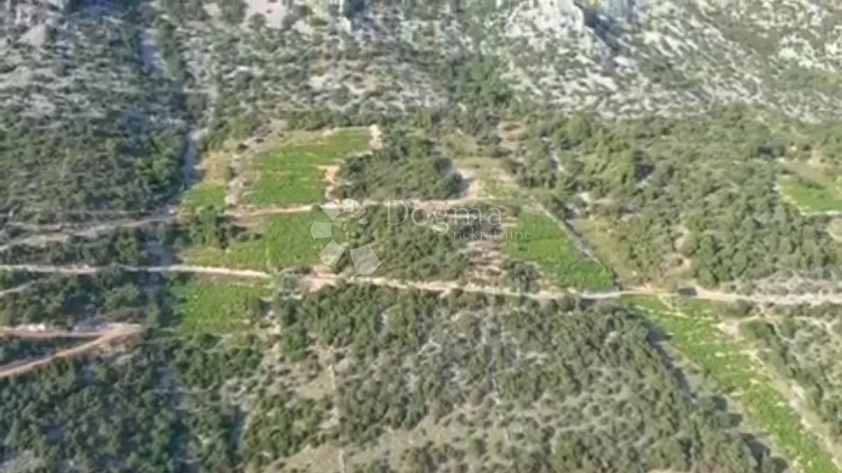 investicijska prilika - opg u rajskim vinogradima - slika 6