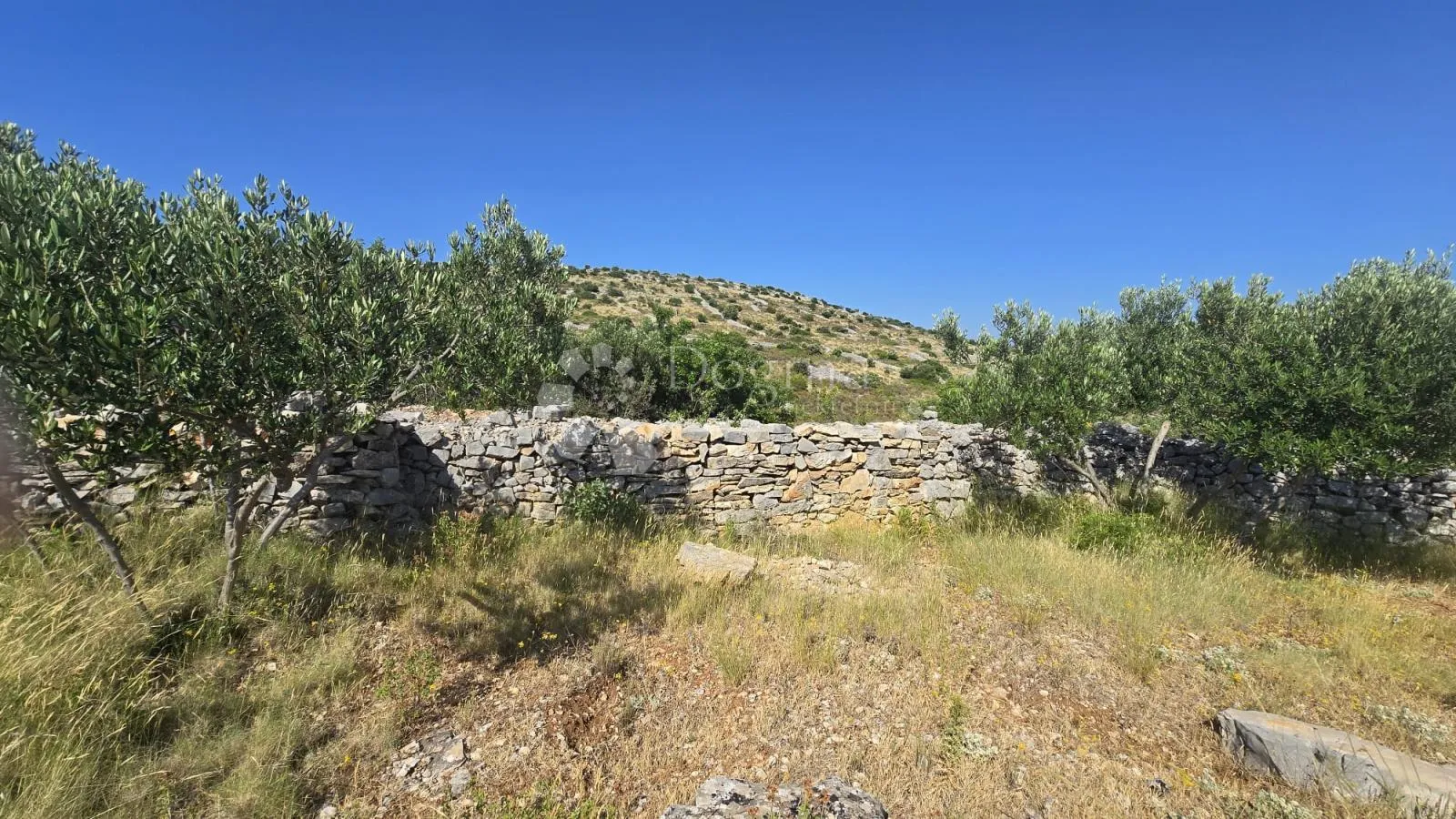 poljoprivredno zemljište s pogledom na more - slika 32