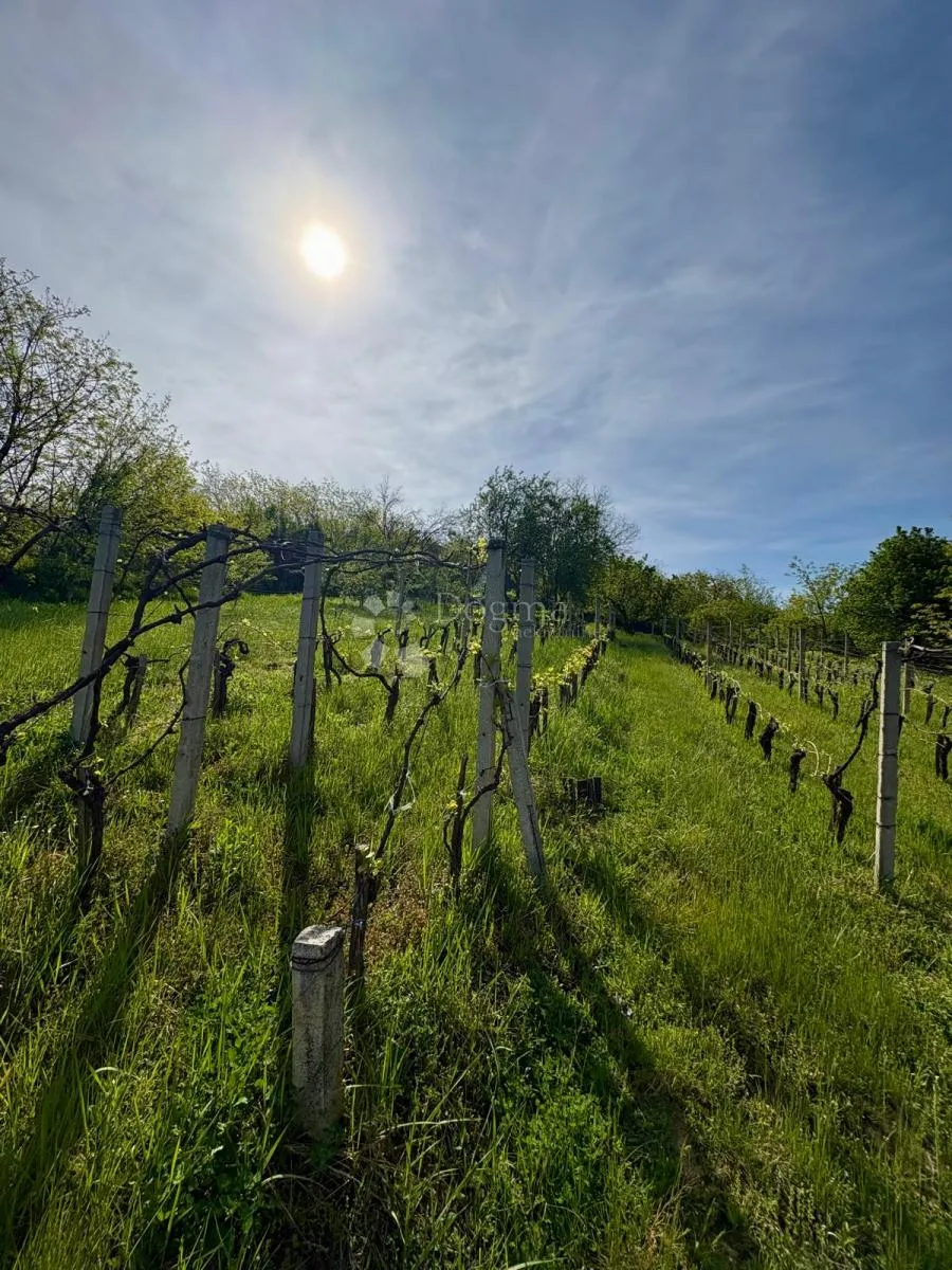 oaza mira i privatnosti – vikendica s vinogradom i 3.797 m² okućnice - slika 34