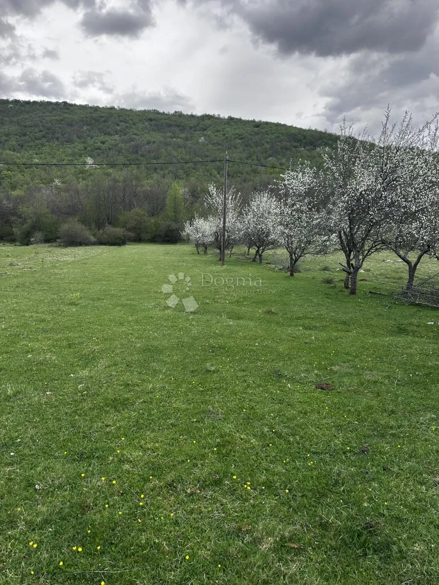 poljoprivredno zemljište 6300m2 cjelina - slika 4
