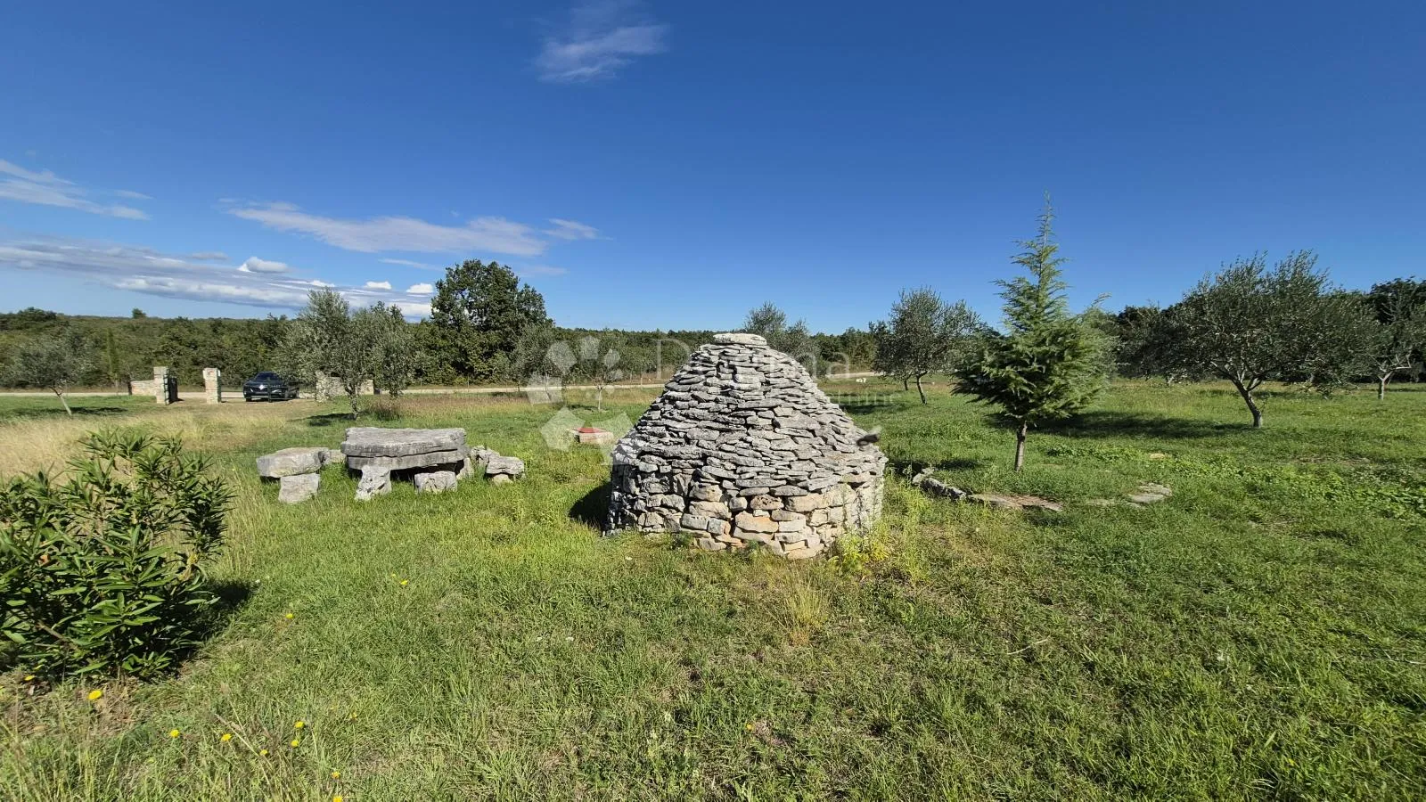 poljoprivredno zemljište sa istarskim kažunom i maslinama 13979 m2 - slika 22
