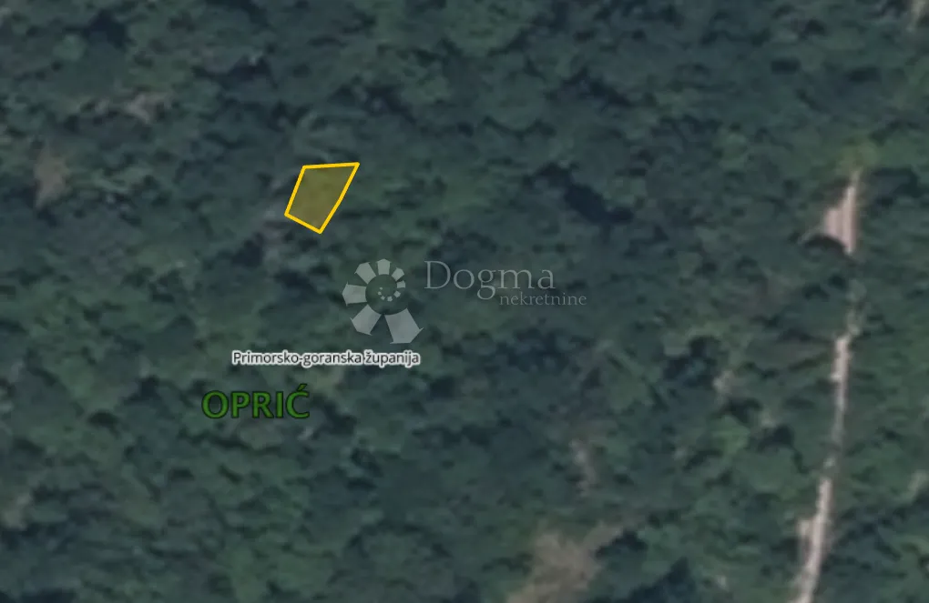šuma u opriću - slika 3