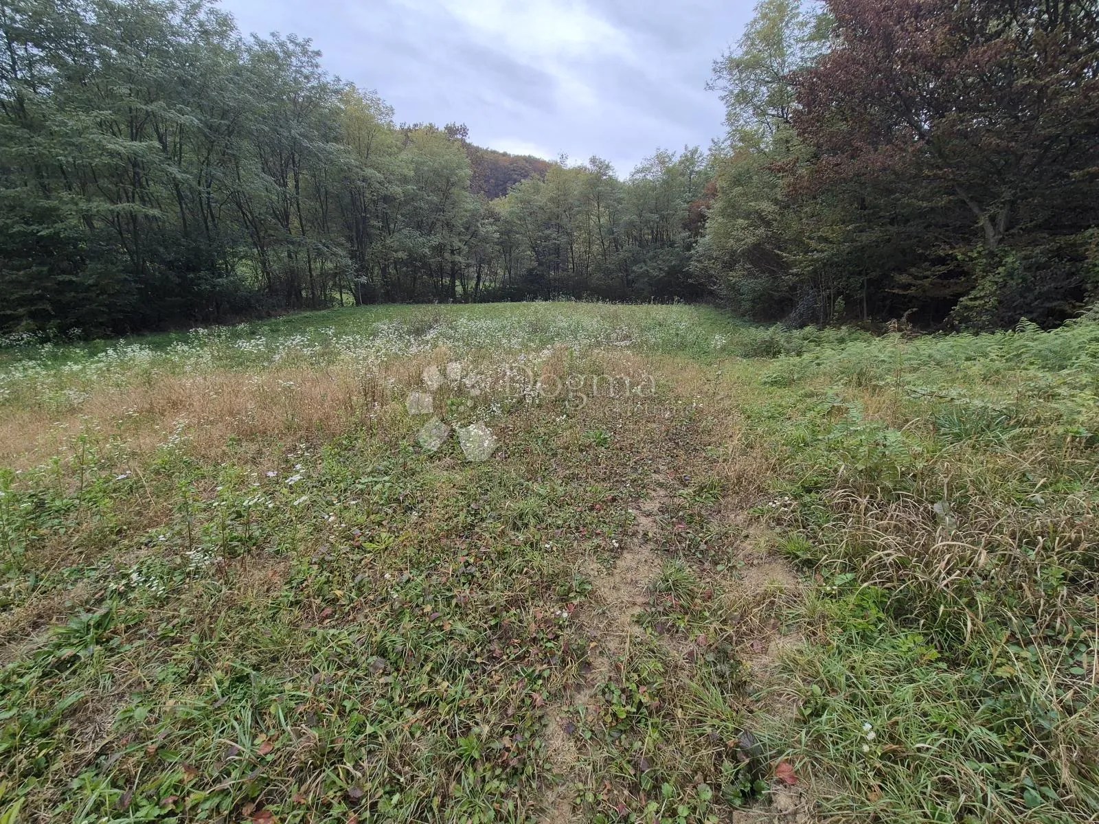 zemljište 1.169m² na mirnoj lokaciji sa pristupnim putem nadomak slovenije! - slika 3