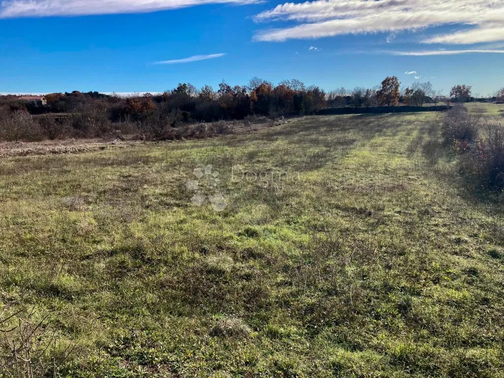građevinsko zemljište ,okolica kanfanara 691m2! - slika 3