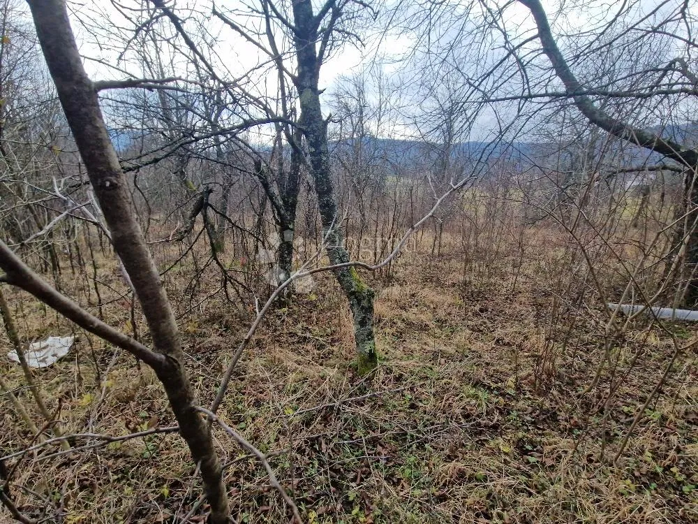 kuća u plaškom za život i vikend - slika 7