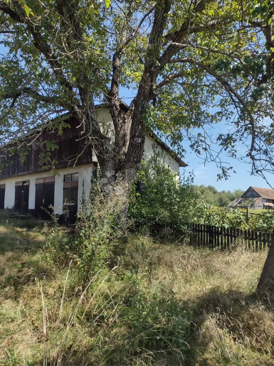 11ha, bunar, besplatni vodovod... - slika 25