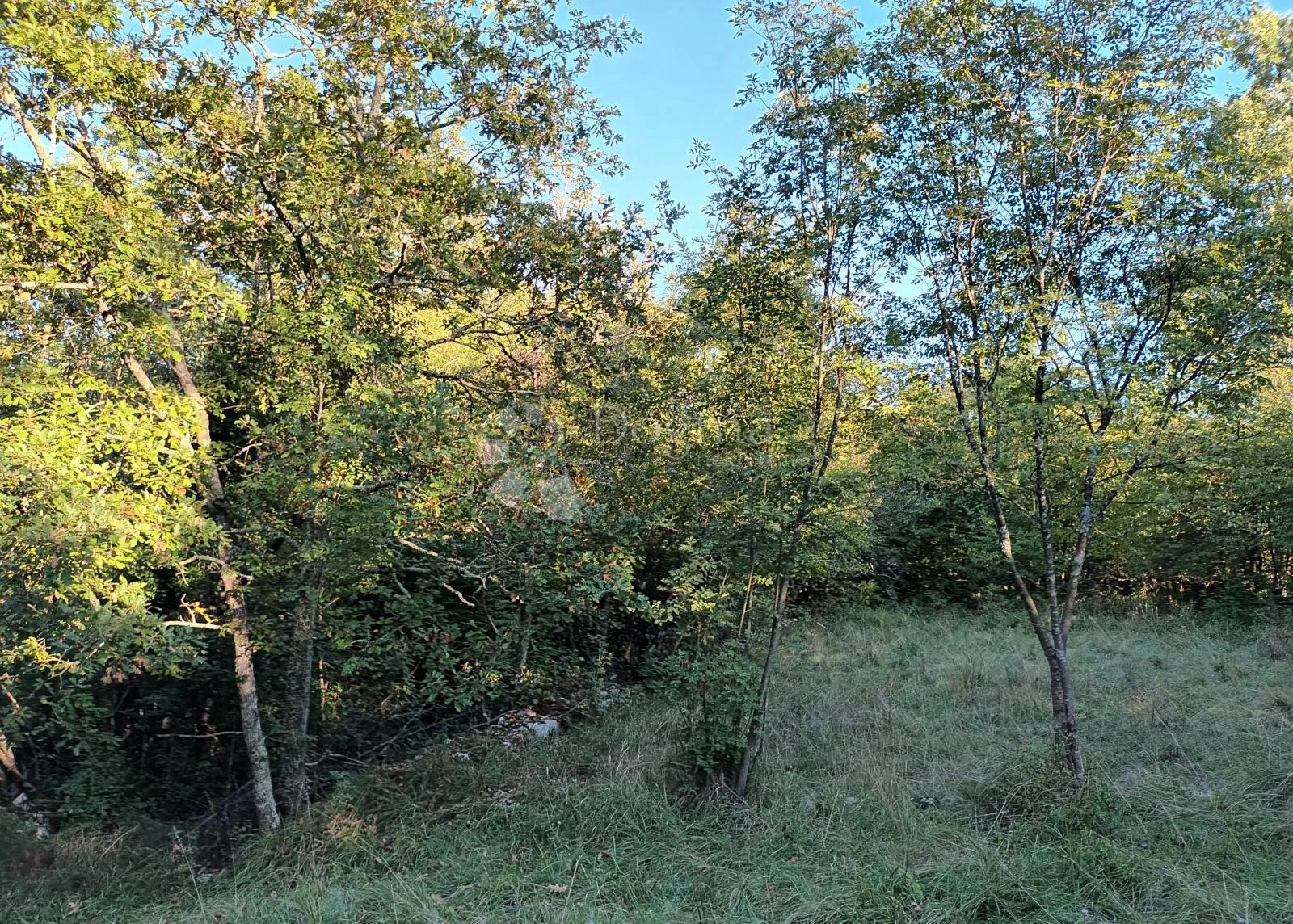 kastav, šumsko zemljište zanimljive lokacije - slika 2
