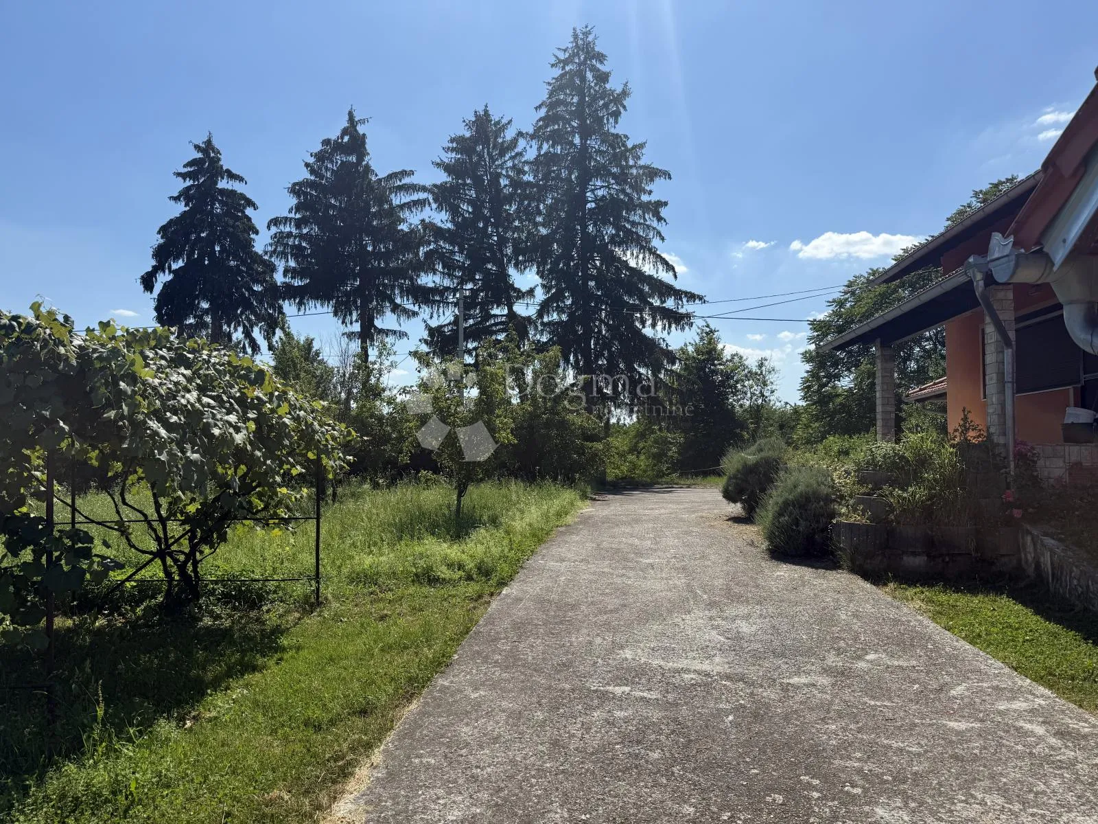 sv ivan zelina, kuća u prirodi na imanju od 13000 m2 - slika 2
