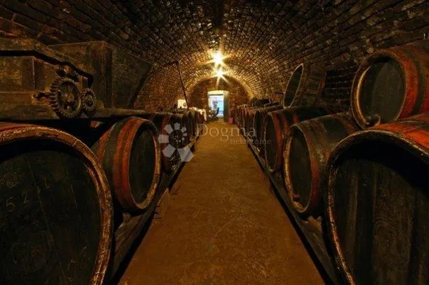 baranjski vinski dragulj-autentični podrum u srcu zmajevca - slika 13