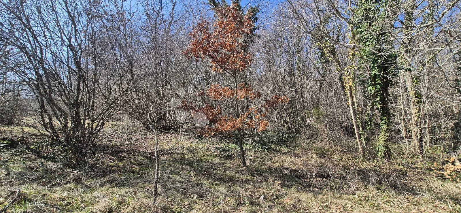 poljoprivredno zemljište površine 7962 m2 - slika 19