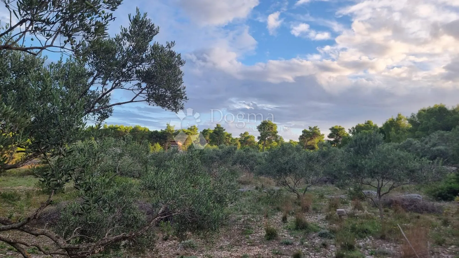 poljoprivredno zemljište 13472 m2- milna,brač - slika 2