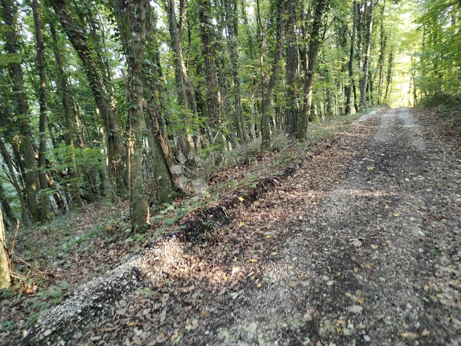 zemljište s ogromnim potencijalom - slika 13
