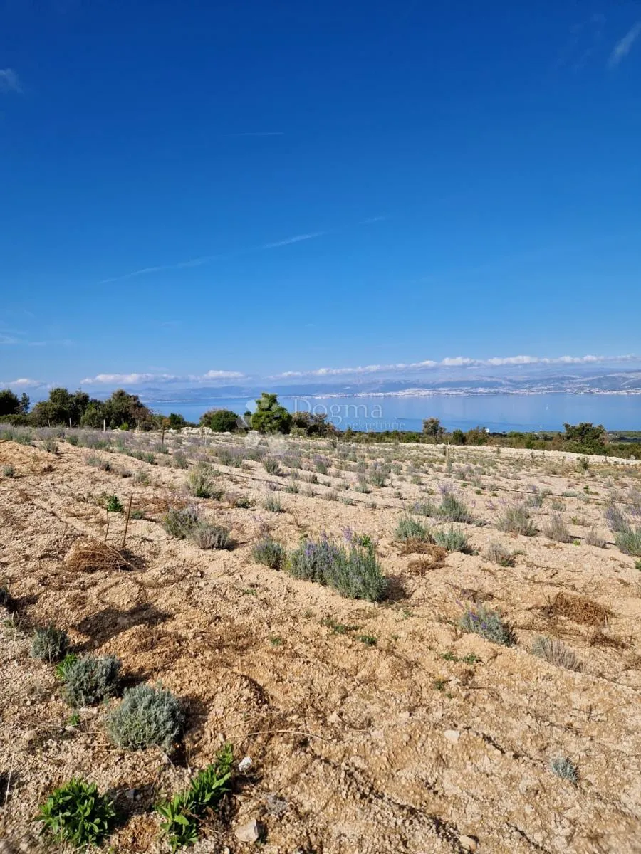 donji humac, zemljište za izgradnju opg-a, 12555 m2, pogled - slika 5