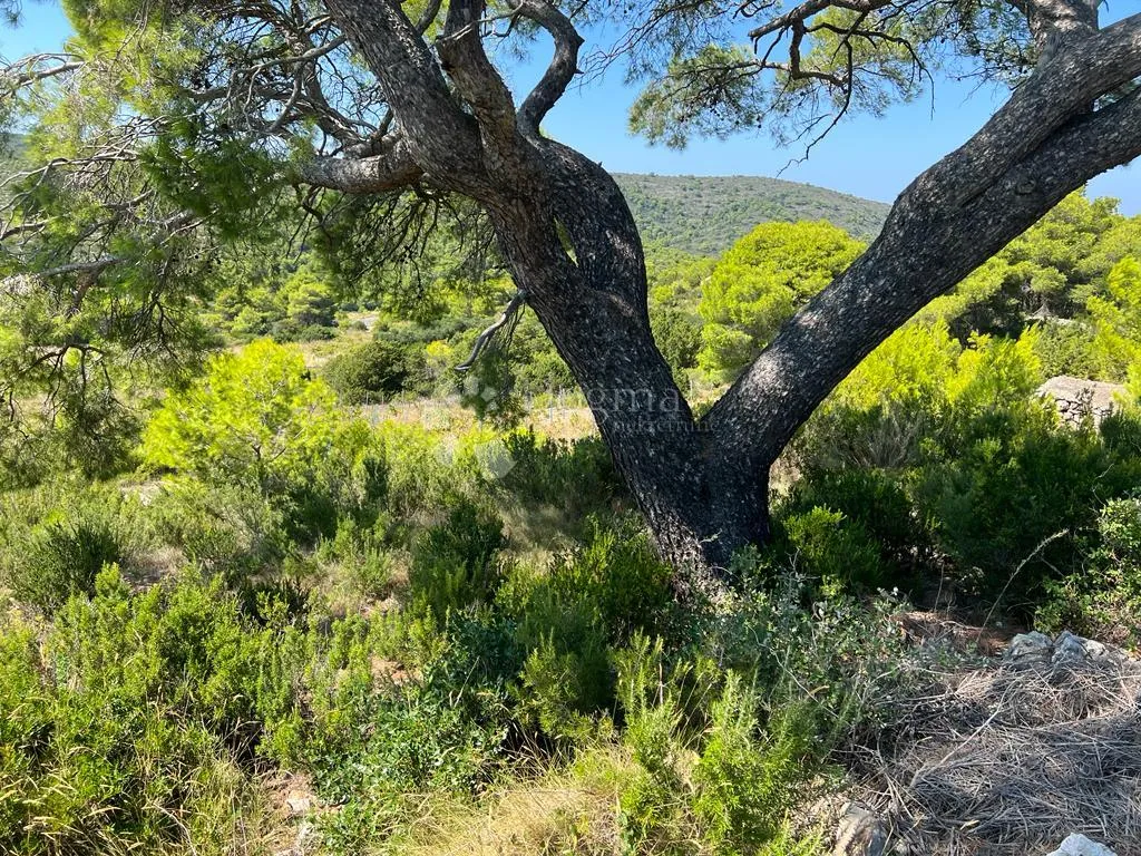 otok vis - izniman posjed s kamenom starinom za adaptaciju ! - slika 11