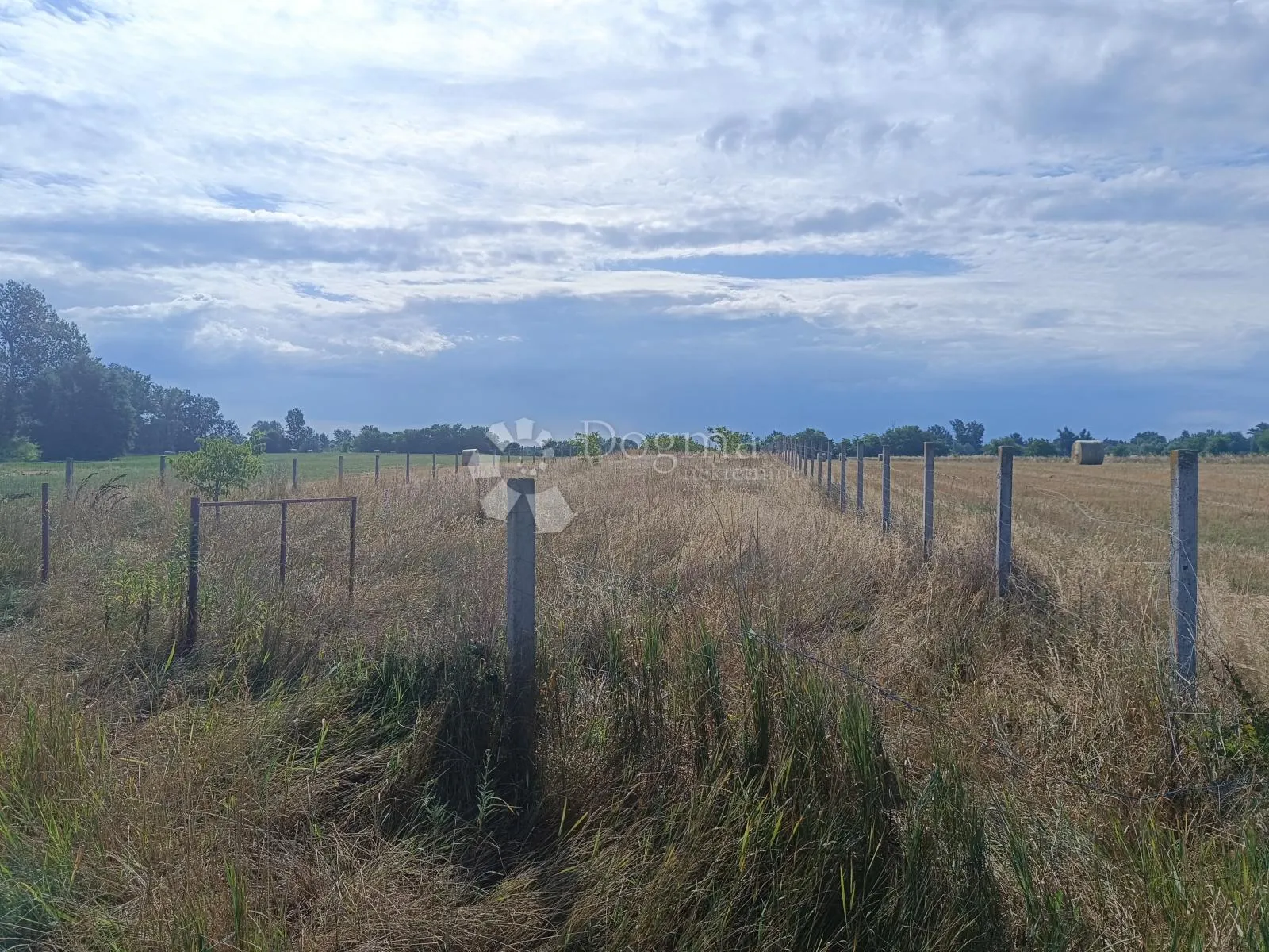 Veliki potencijal - zemljište 5122 m² pored Bilja - Bilje