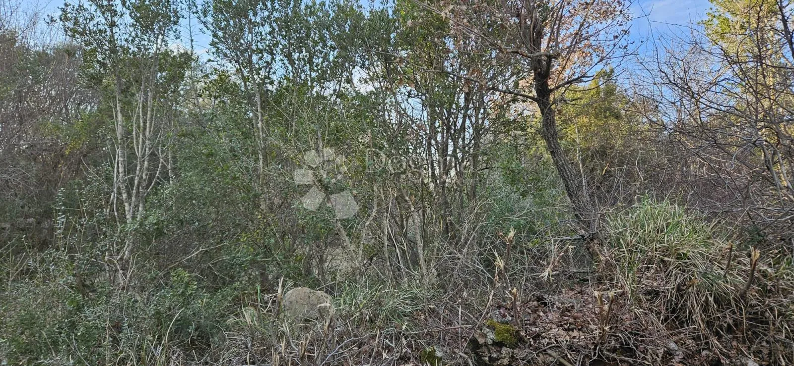 poljoprivredno zemljište na odličnoj lokaciji - 4154 m² - slika 5