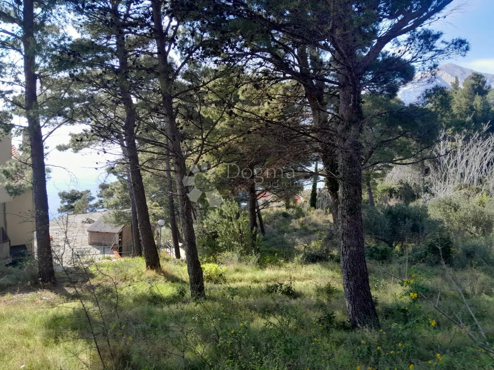 građevinsko zemljište brela 1070m2 - slika 6