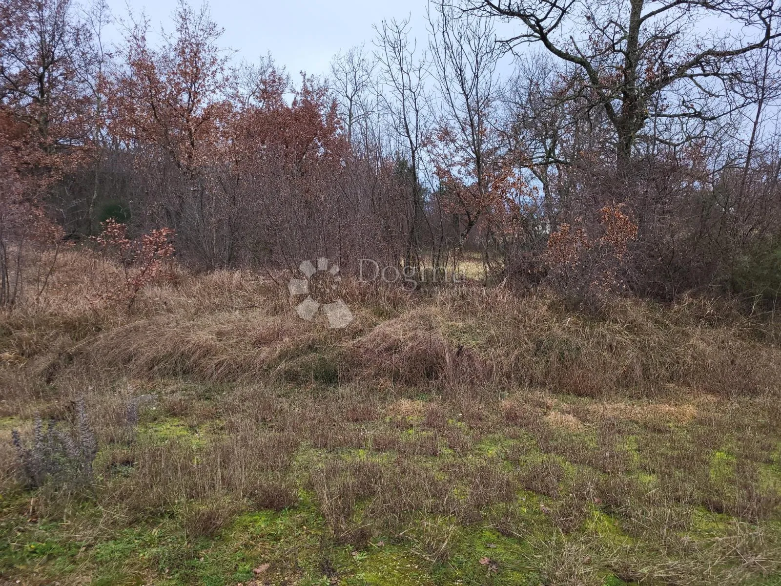 započeta gradnja tar-vabriga - slika 4