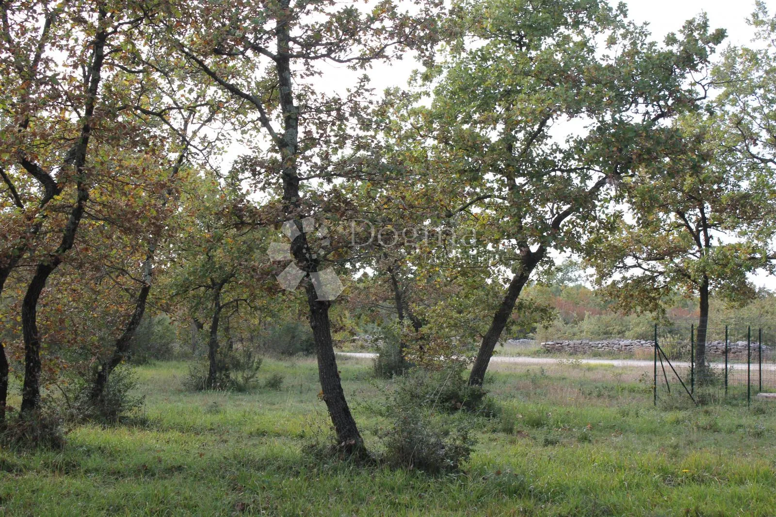 top lokacija - blizina mora - slika 2