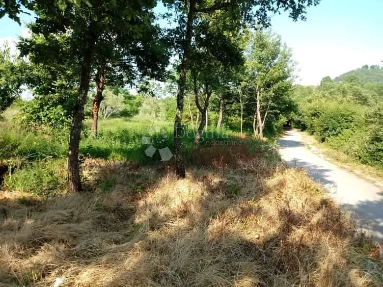 građevinsko i poljoprivredno zemljište!odlična prilika u sovinjaku! - slika 2
